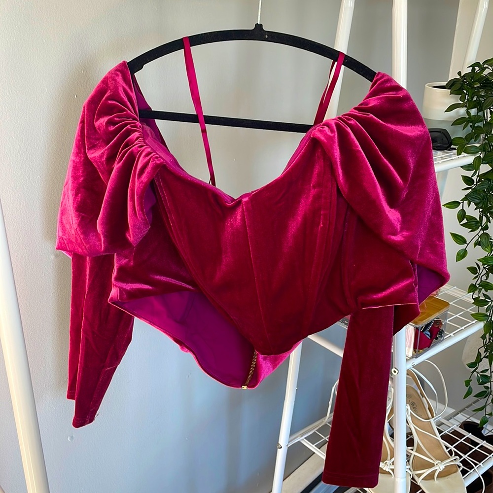 Pink velvet corset top with sleeves from Fashion to Figure